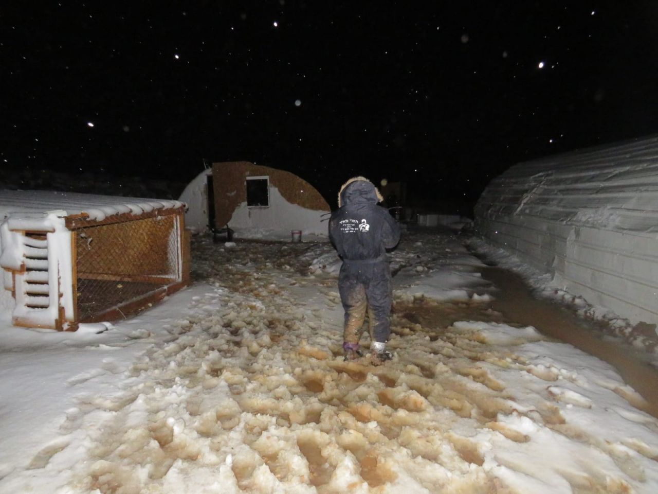 רמת מגרון (צילום: אלישע ירד)